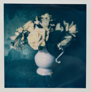 Polaroid Studio Artifact 82
