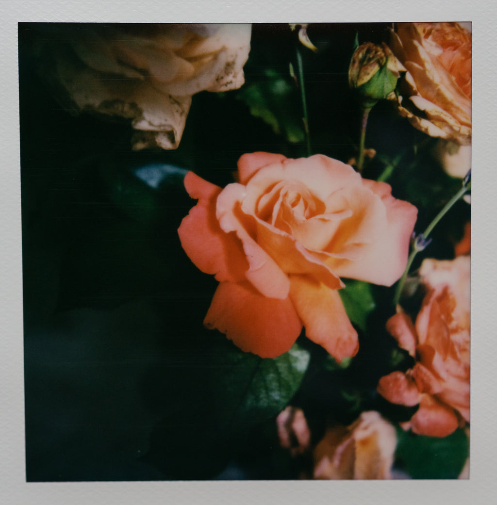 Polaroid Studio Artifact 85