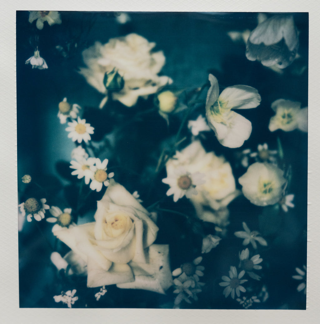 Polaroid Studio Artifact 86