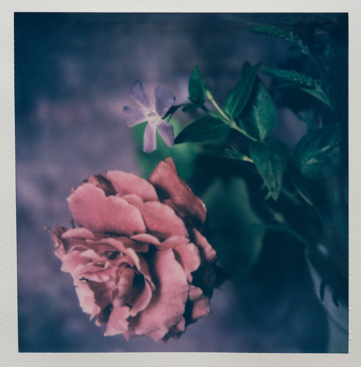 Polaroid Studio Artifact 87