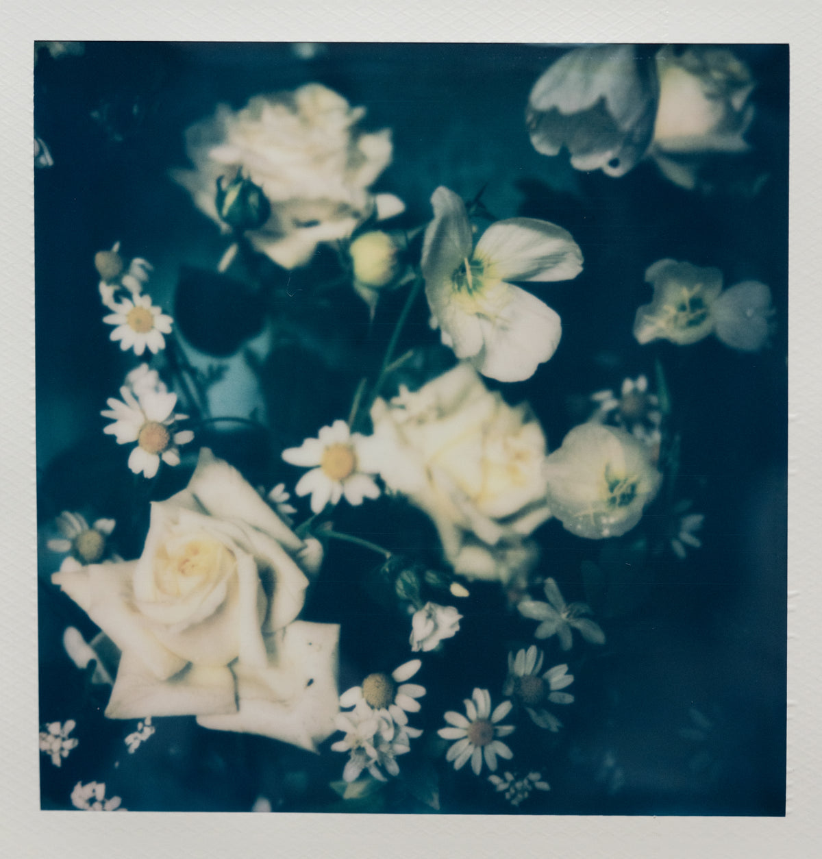 Polaroid Studio Artifact 88