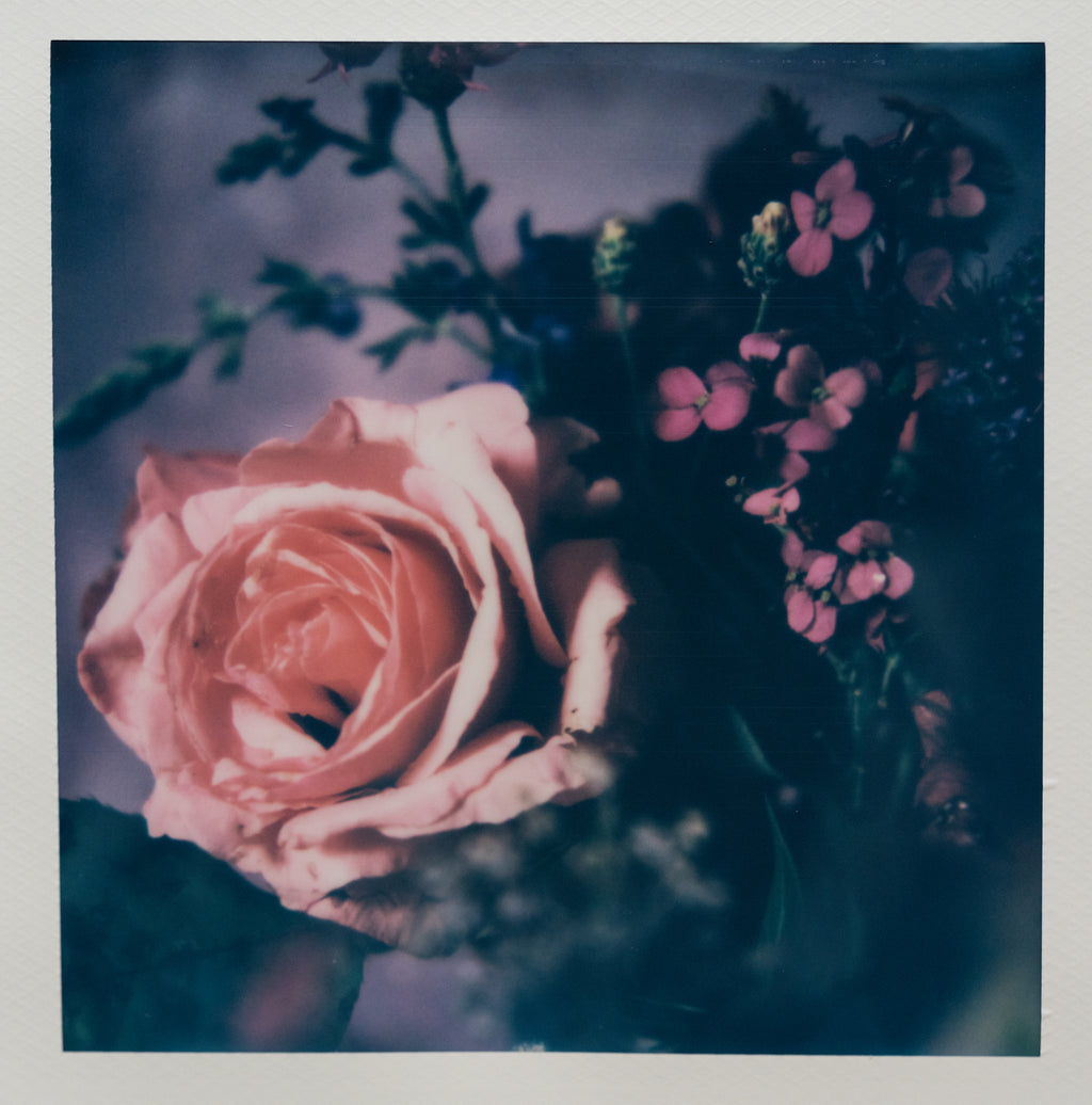 Polaroid Studio Artifact 93