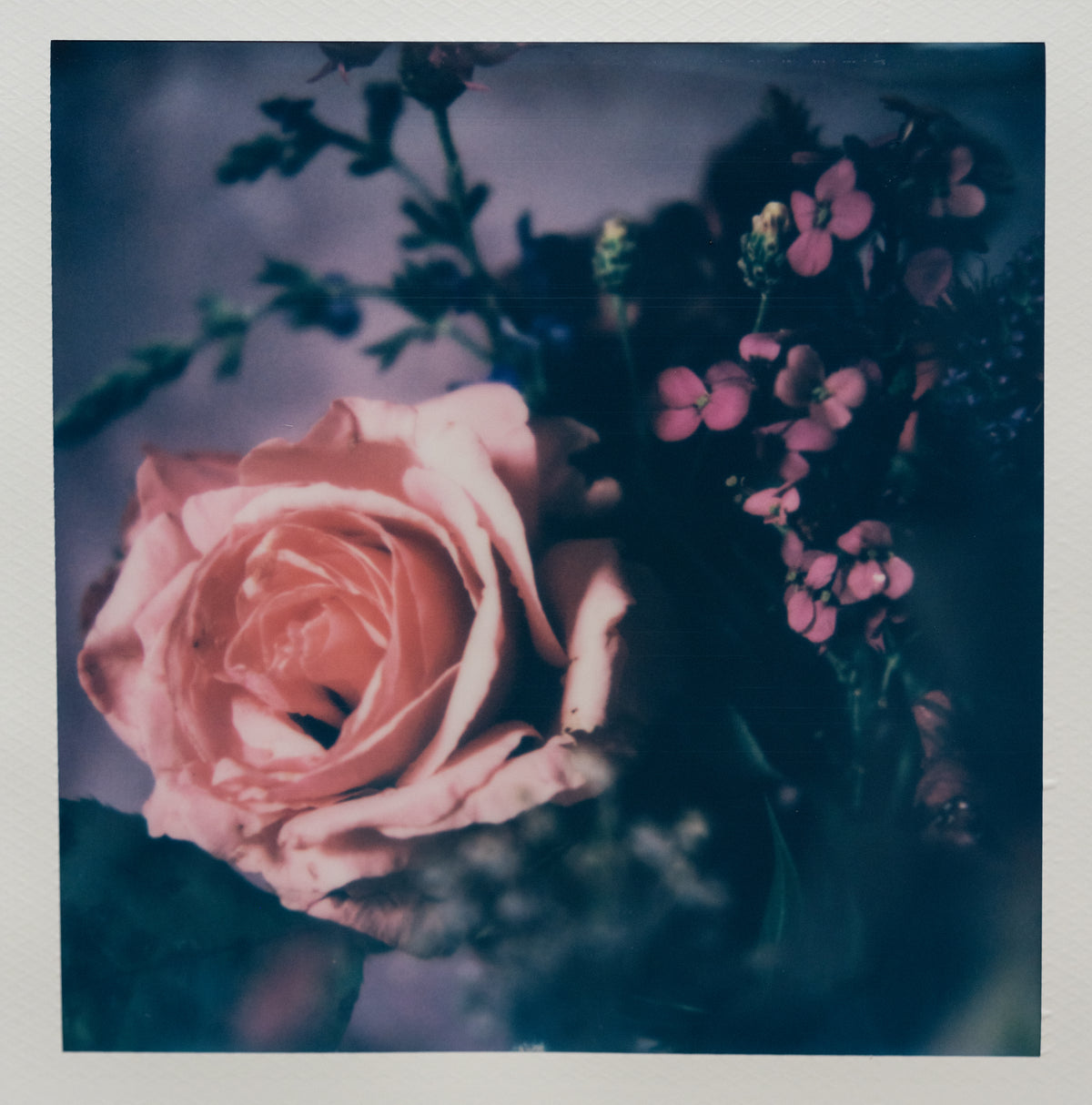 Polaroid Studio Artifact 93