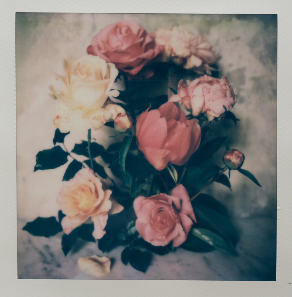 Polaroid Studio Artifact 94