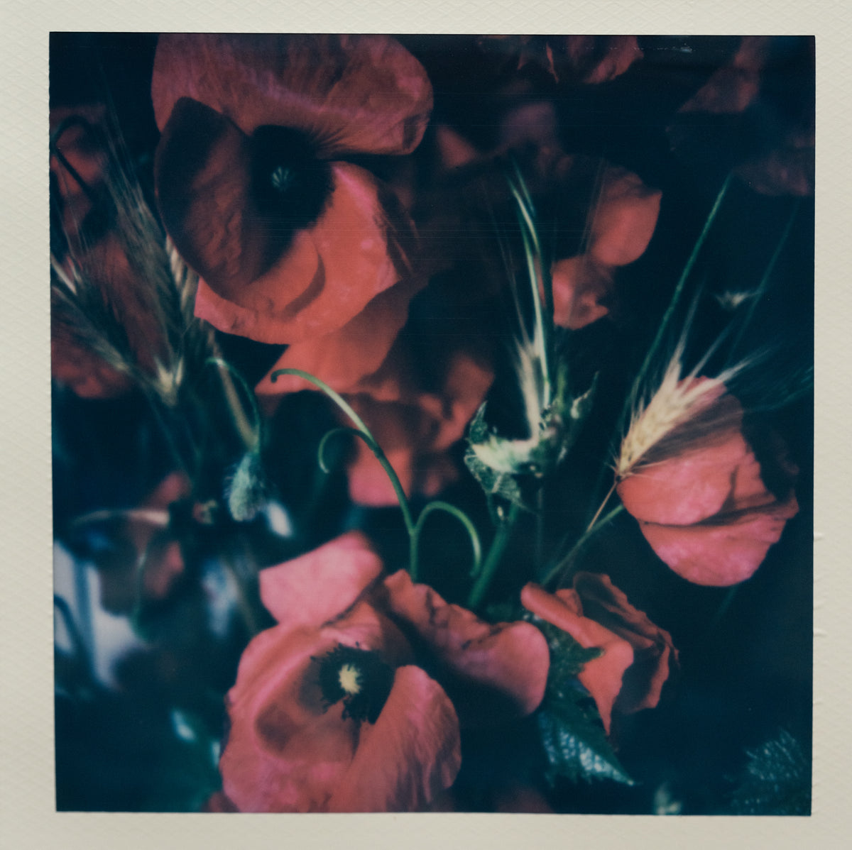 Polaroid Studio Artifact 95