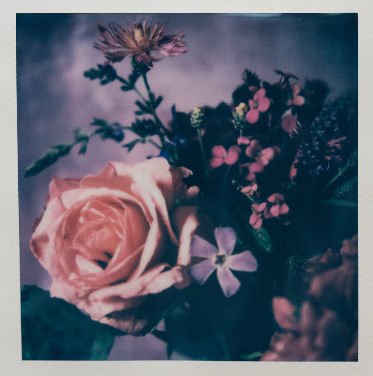 Polaroid Studio Artifact 96