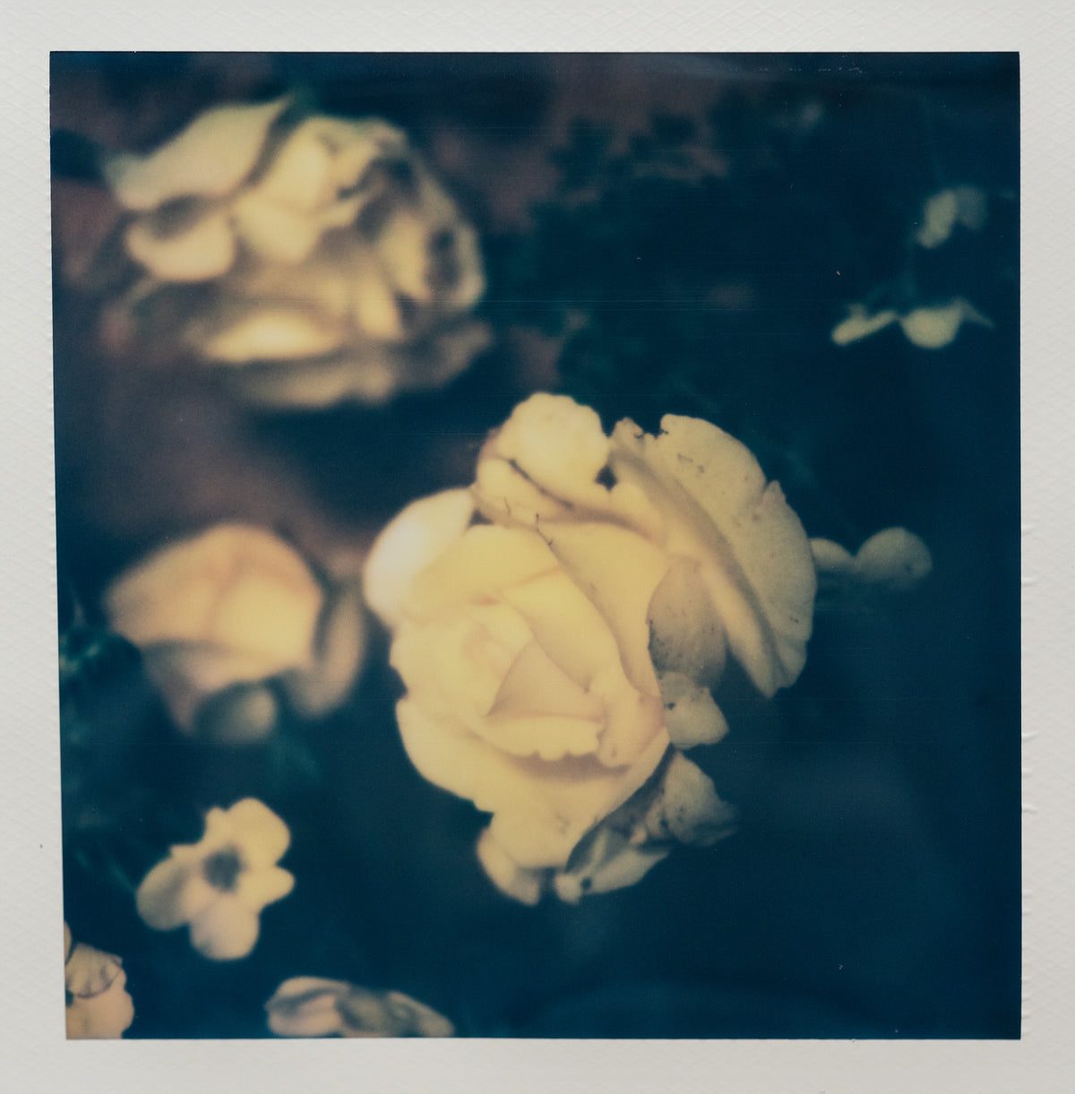 Polaroid Studio Artifact 97
