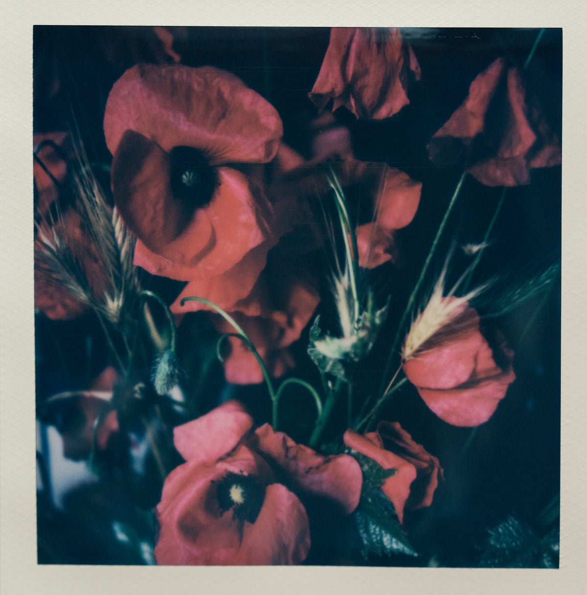 Polaroid Studio Artifact 98
