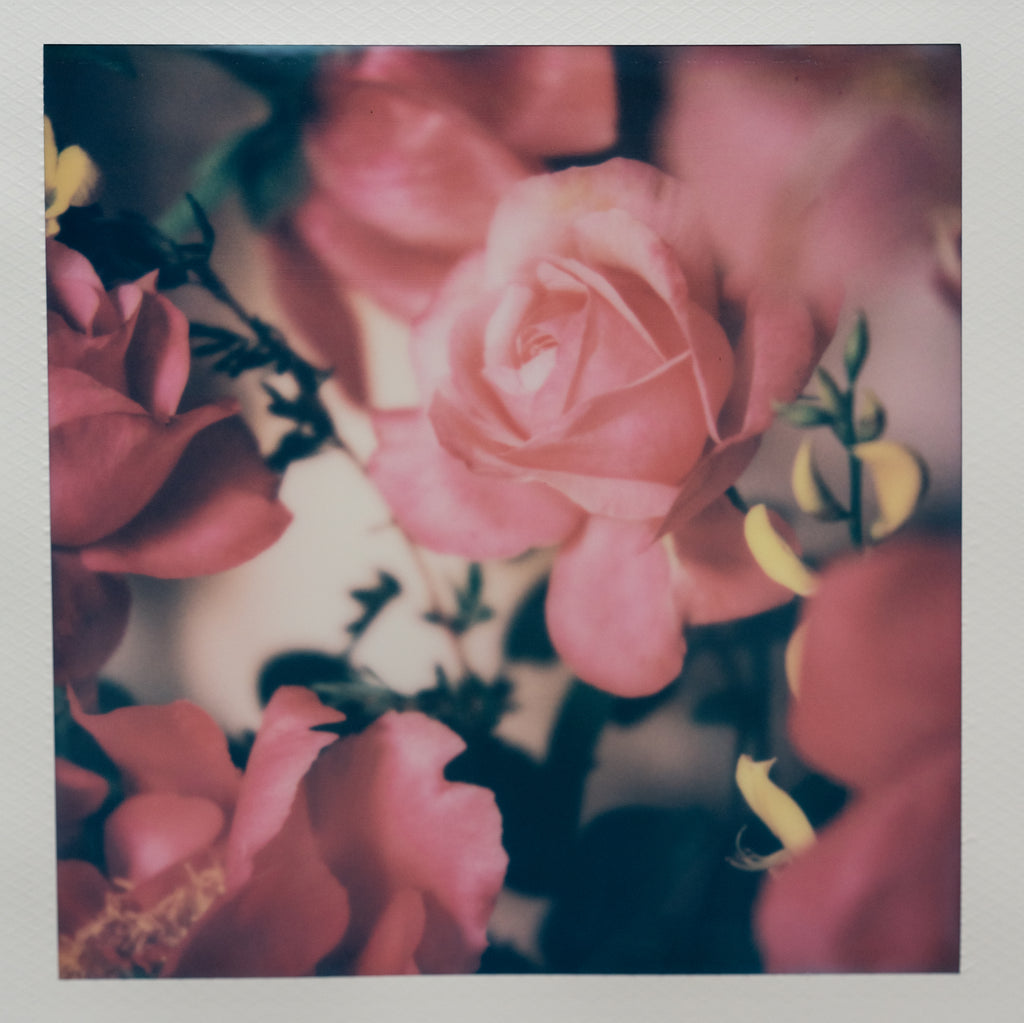 Polaroid Studio Artifact 101