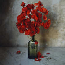  Poppies in Antique Glass Print