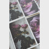 Amour Stationery • Set of 16 Cards and Envelopes