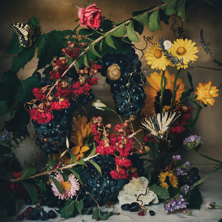 Fine Art Prints