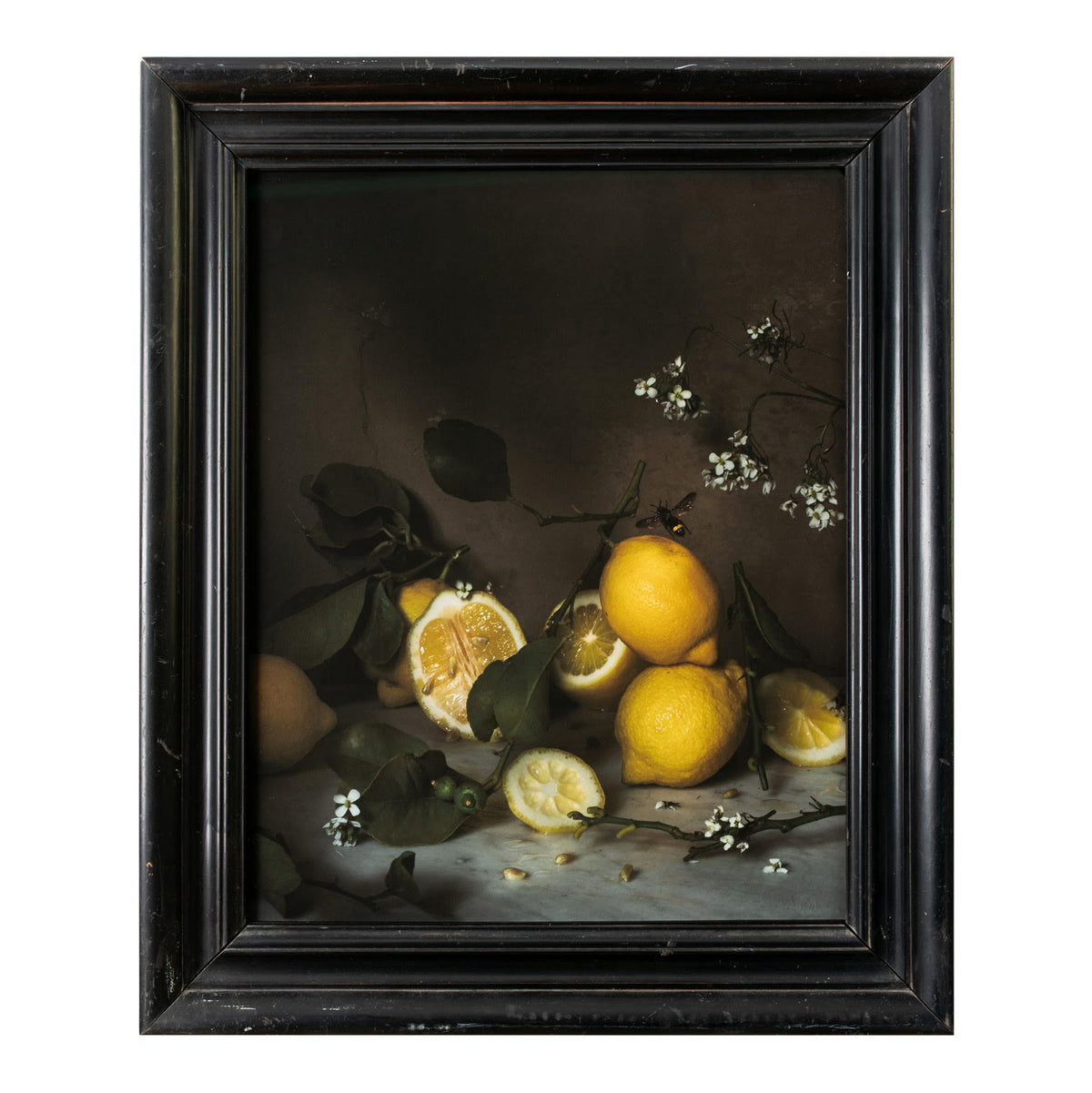 Still Life with Lemons and Bee • Fine Art Framed Collectible