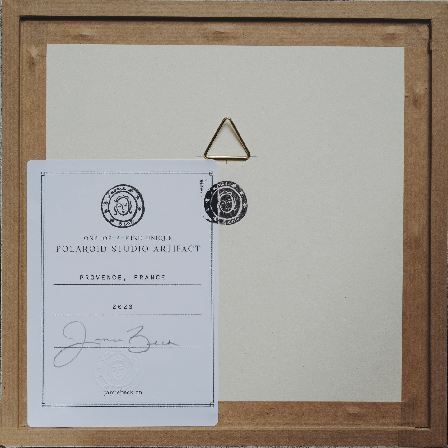 Polaroid Studio Artifact 79