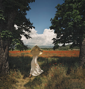 An American in Provence Cover  - Fine Art Collectible
