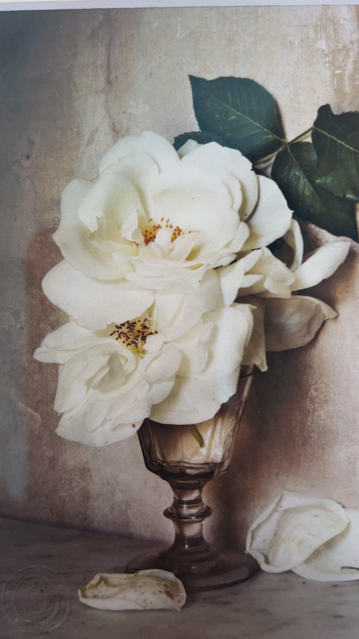 Framed Masterwork - Rose Month - White Roses in Glass