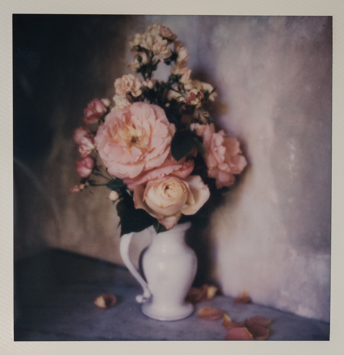 Polaroid Studio Artifact 11
