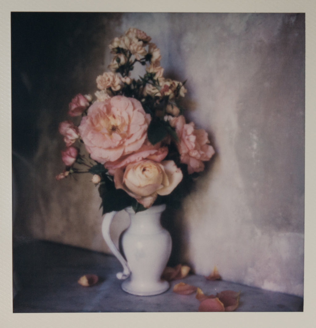 Polaroid Studio Artifact 12