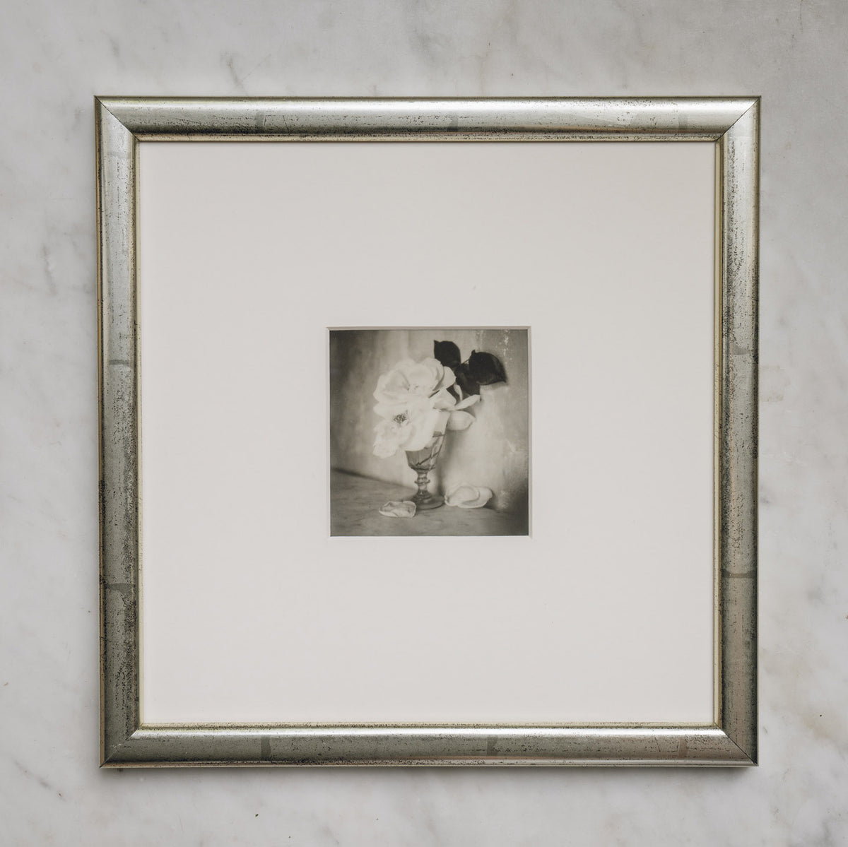 Polaroid Studio Artifact 13