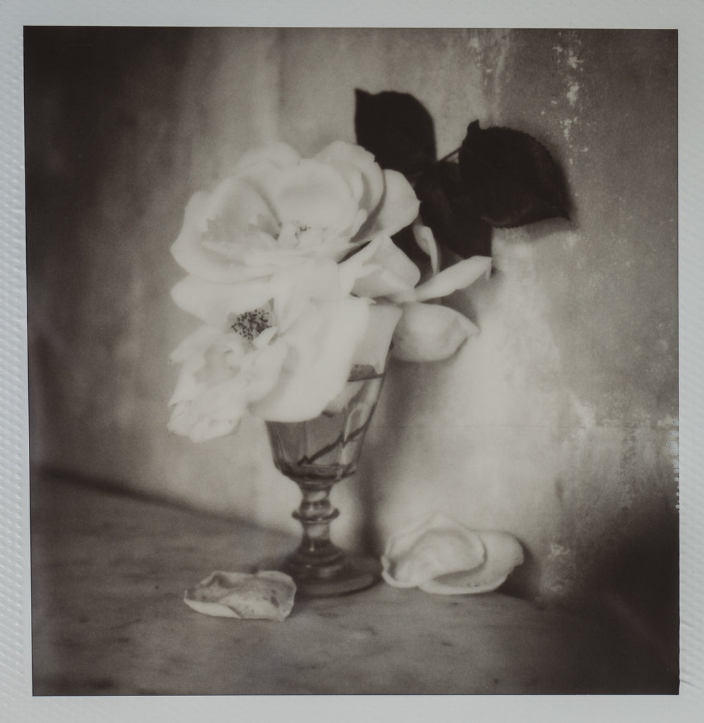 Polaroid Studio Artifact 13