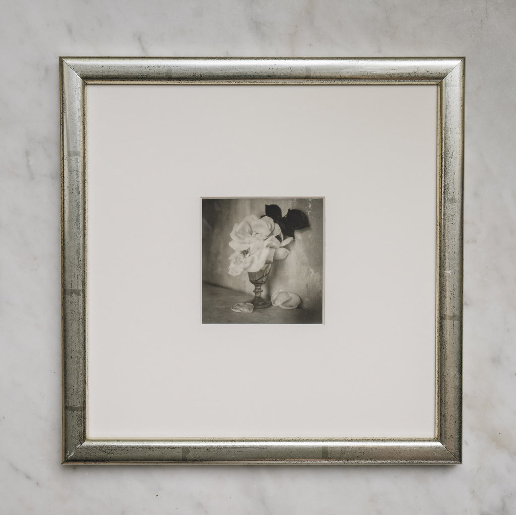 Polaroid Studio Artifact 15