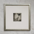 Polaroid Studio Artifact 15