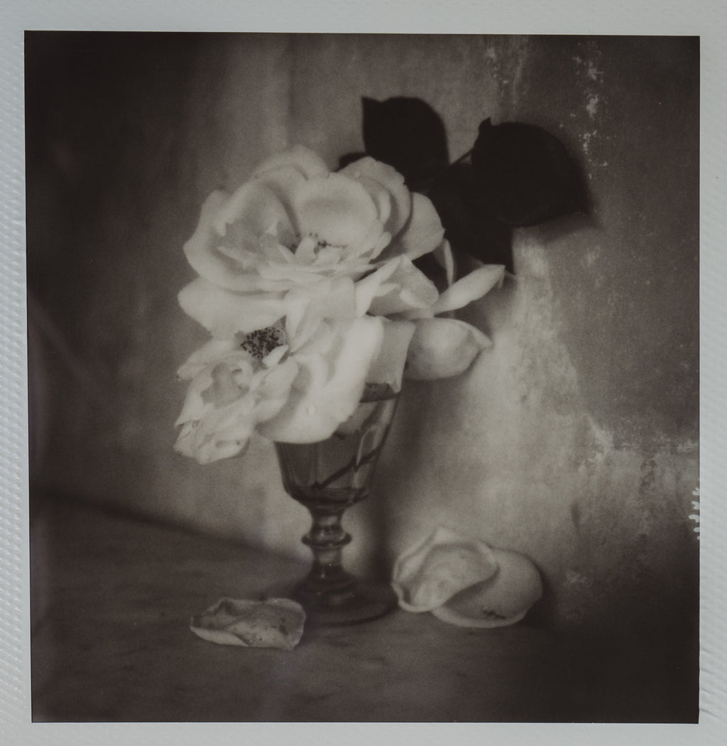 Polaroid Studio Artifact 15