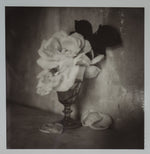 Load image into Gallery viewer, Polaroid Studio Artifact 15
