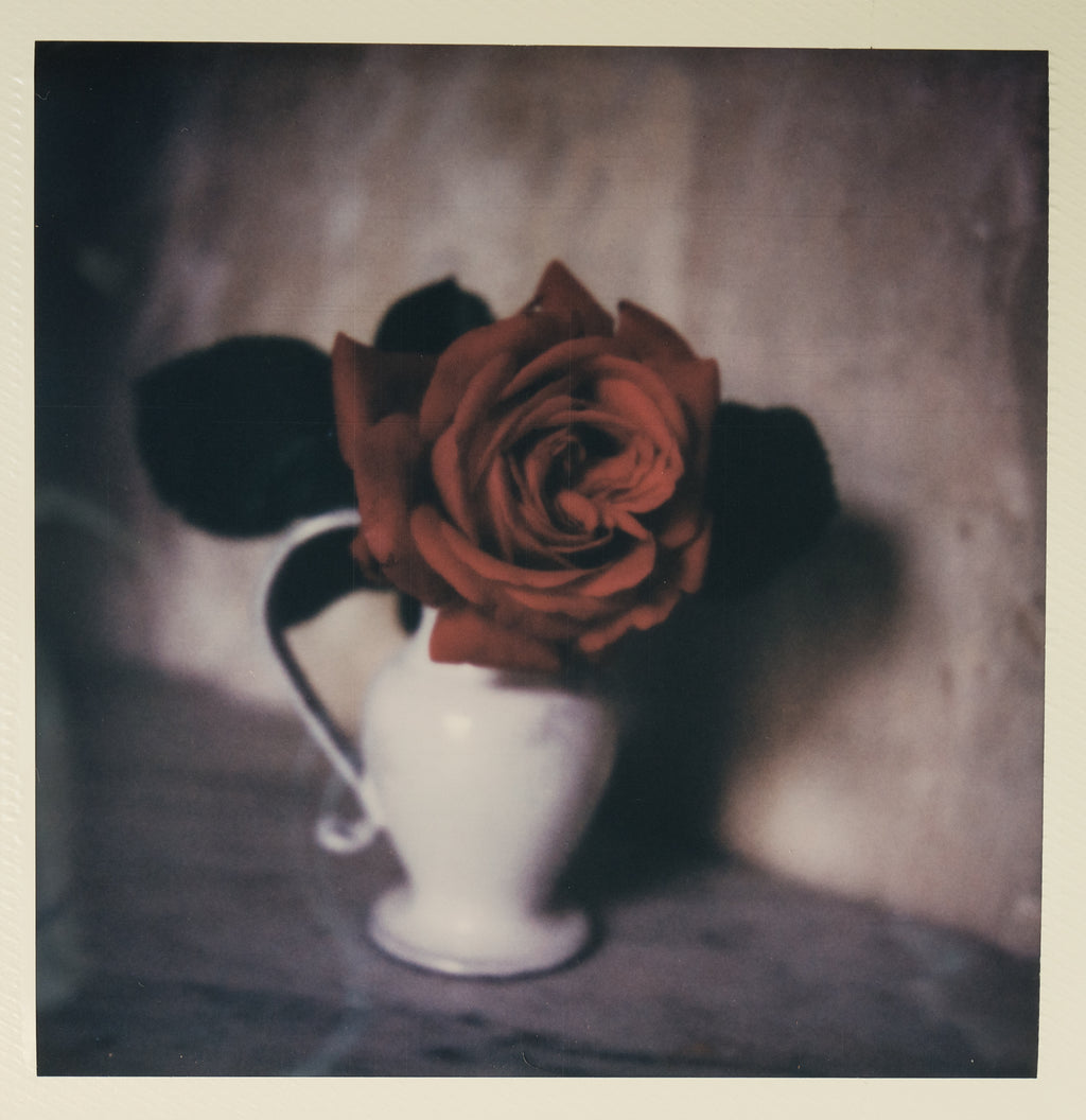 Polaroid Studio Artifact 16