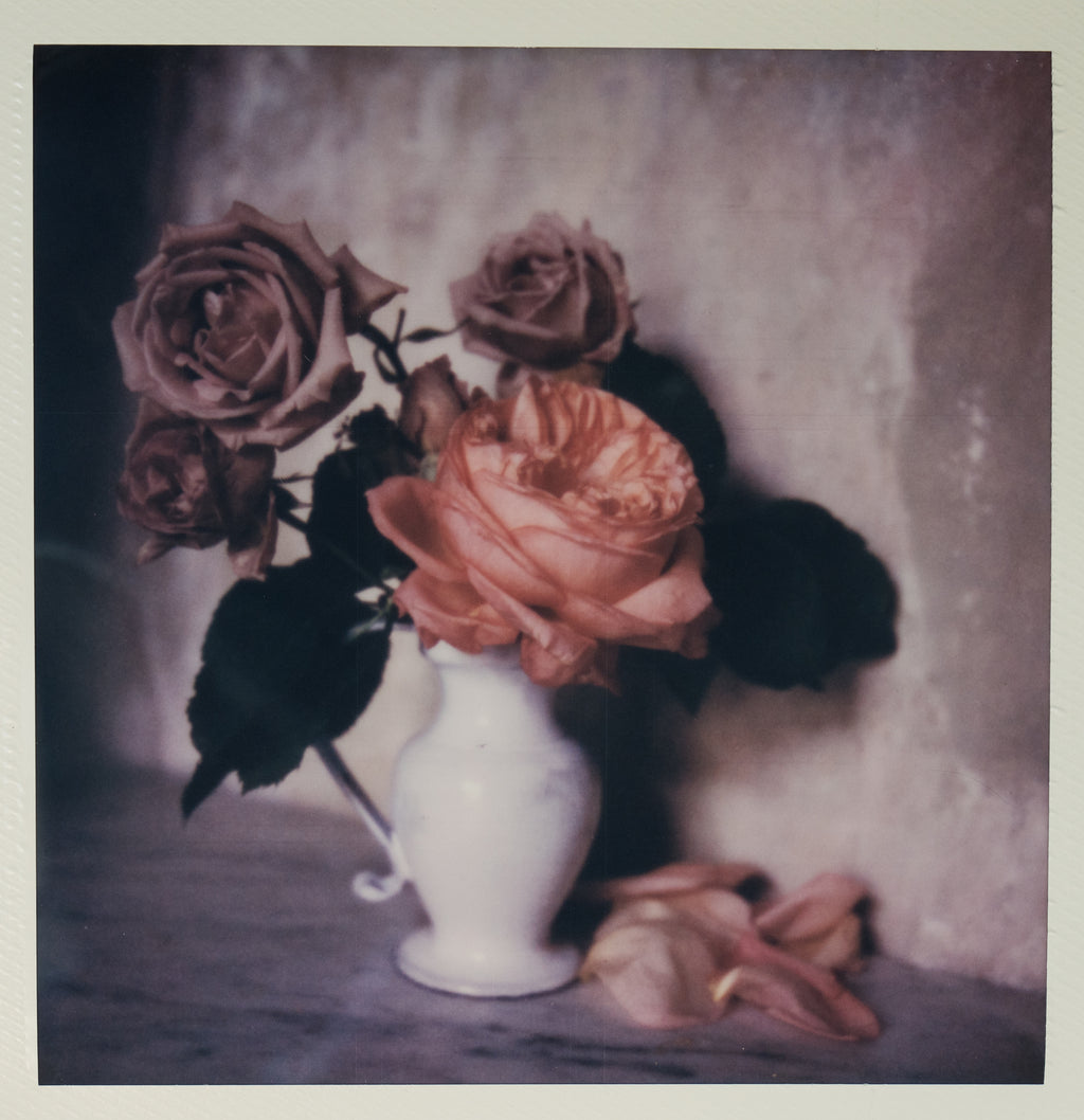Polaroid Studio Artifact 17