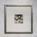 Polaroid Studio Artifact 19