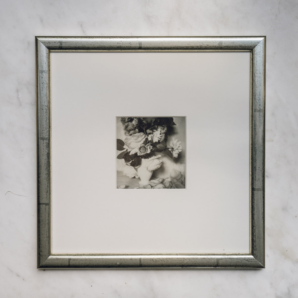 Polaroid Studio Artifact 19