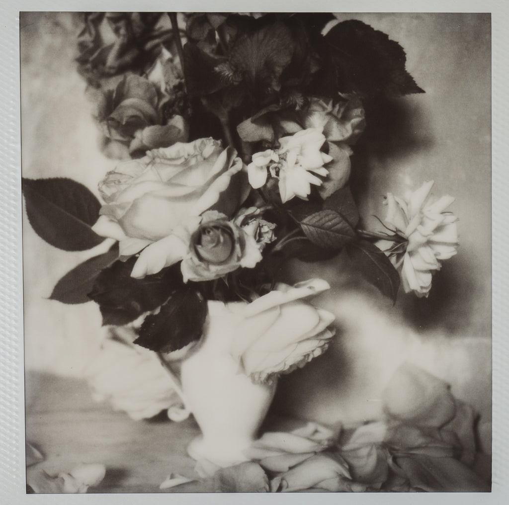 Polaroid Studio Artifact 19