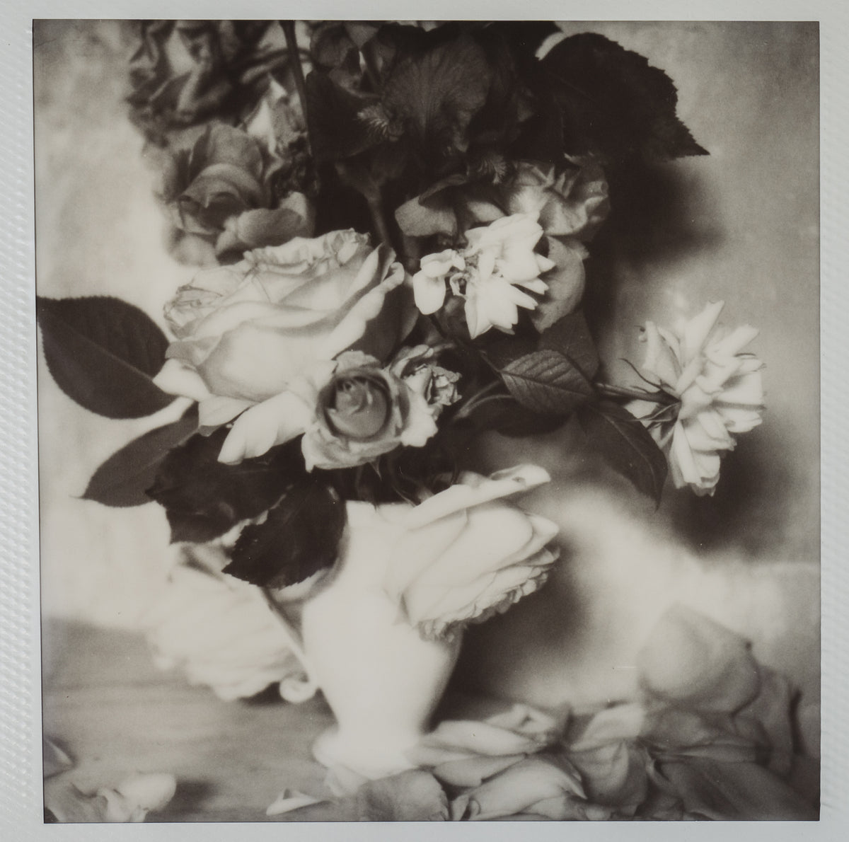 Polaroid Studio Artifact 19