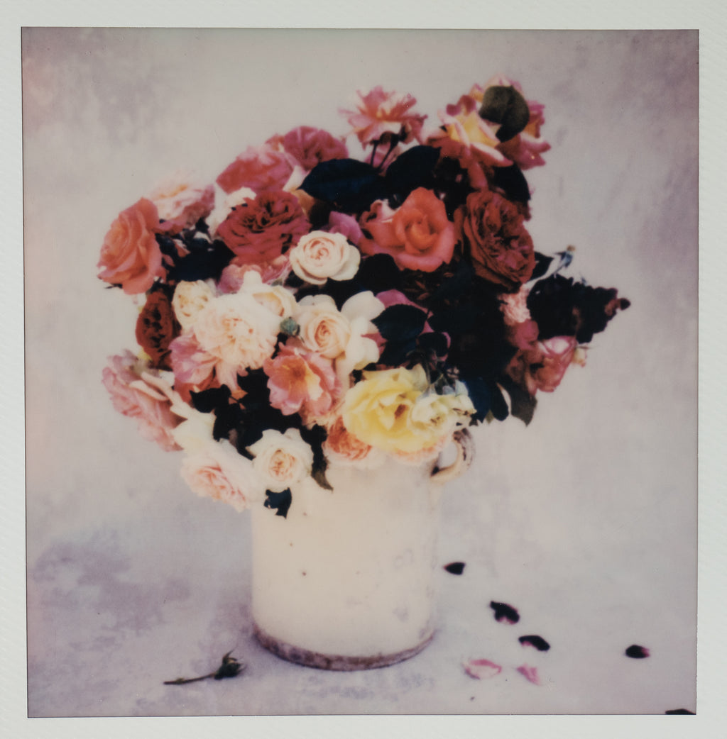 Polaroid Studio Artifact 01