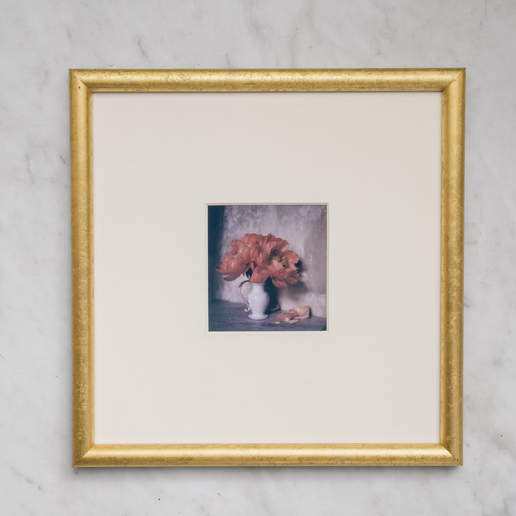 Polaroid Studio Artifact 20