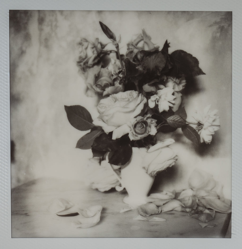 Polaroid Studio Artifact 21