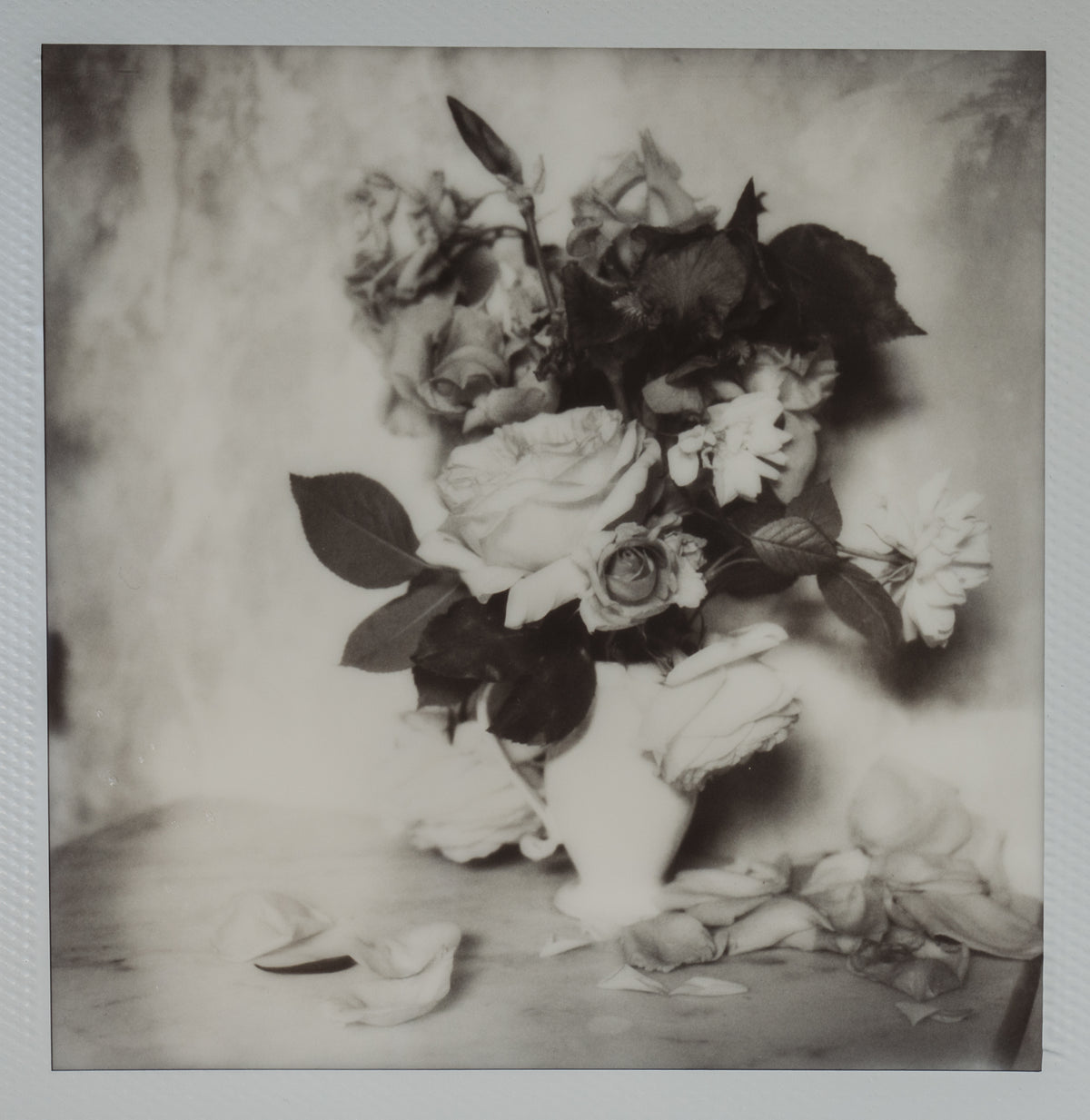 Polaroid Studio Artifact 21