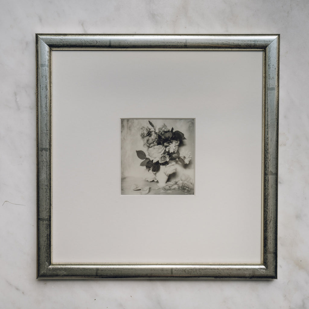 Polaroid Studio Artifact 21