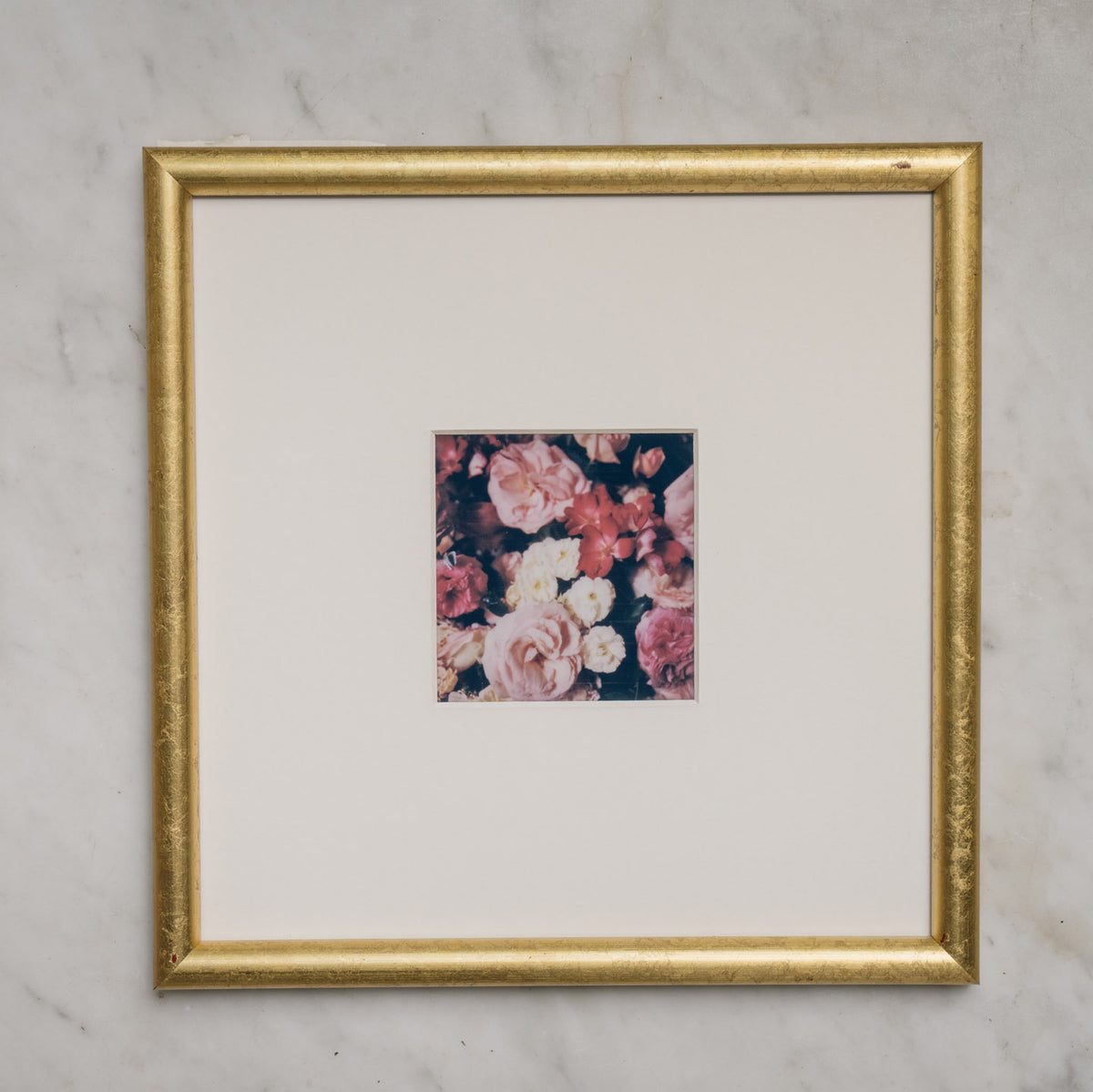 Polaroid Studio Artifact 24