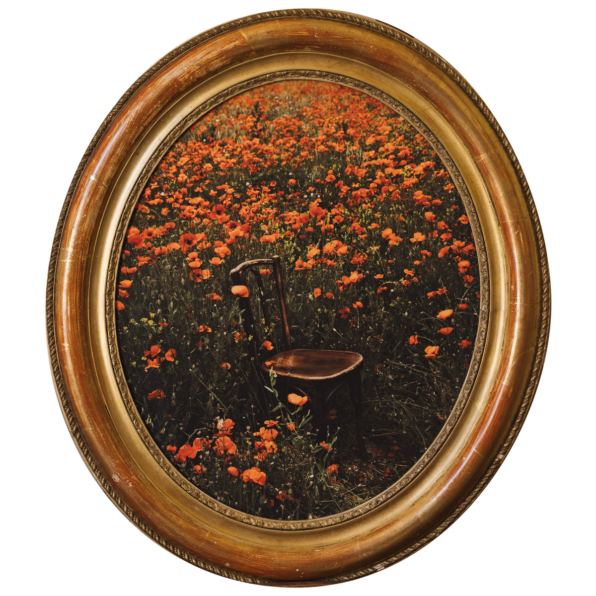An American in Provence Page 242  - Fine Art Collectible