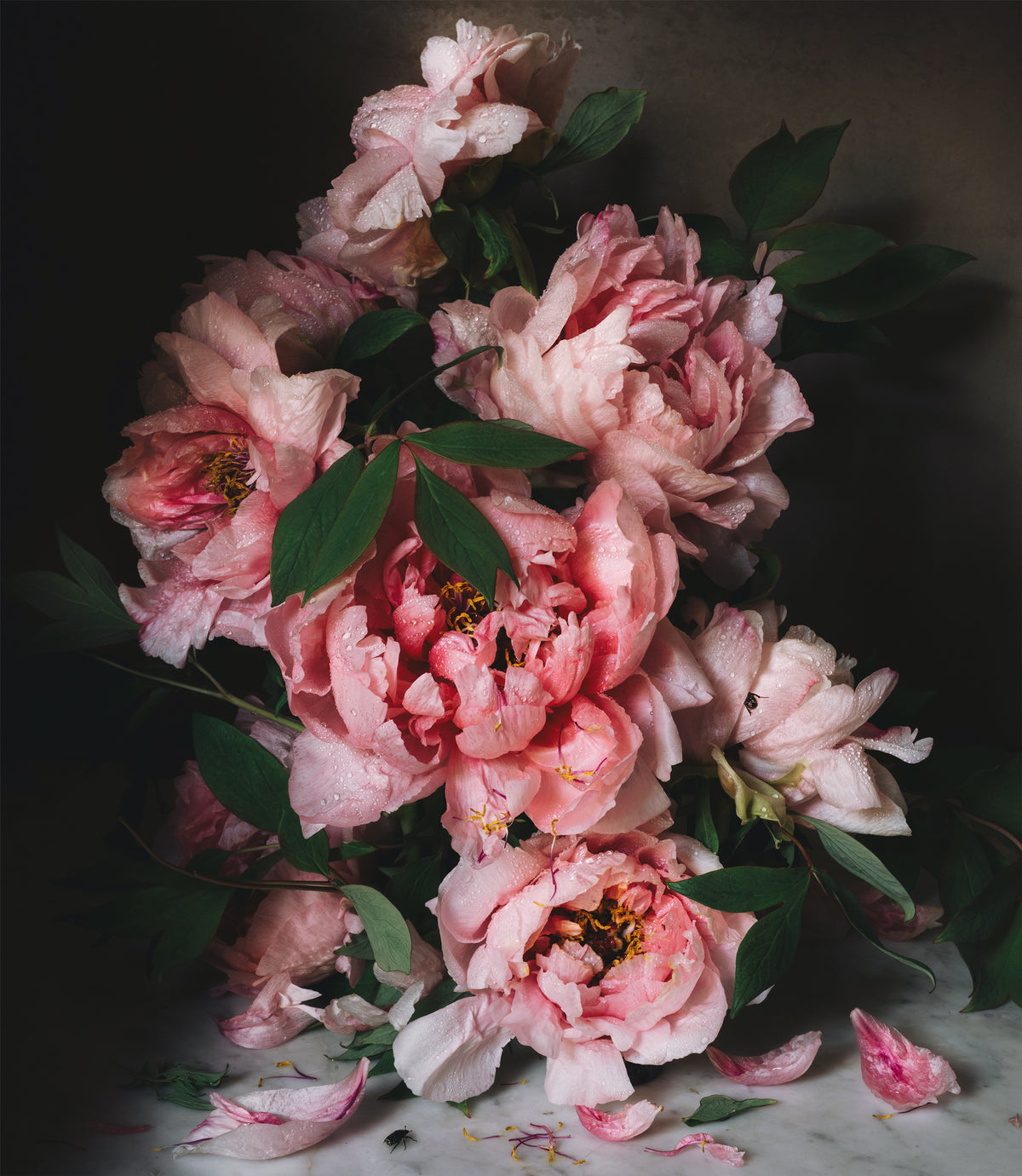 Day Twenty-Five Fine Art Print