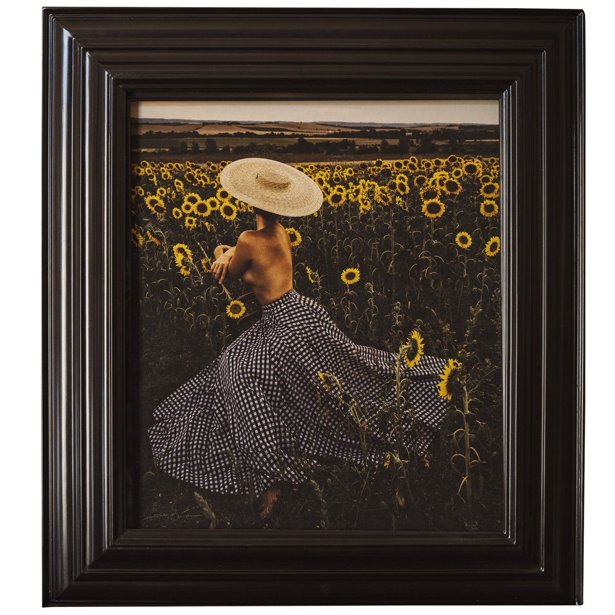 An American in Provence Page 250  - Fine Art Collectible