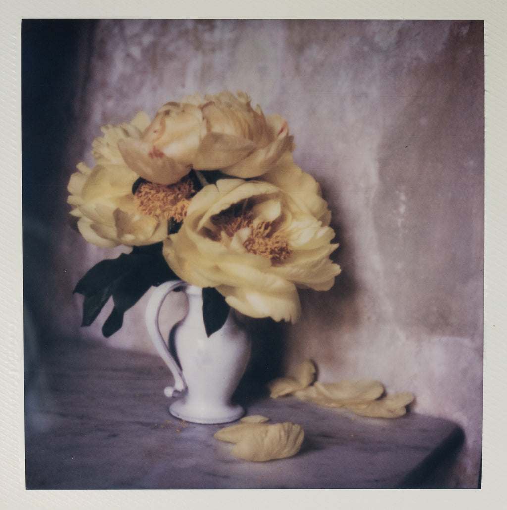 Polaroid Studio Artifact 25