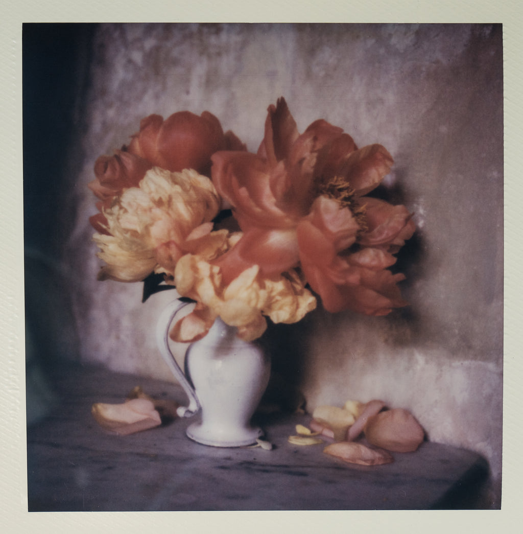 Polaroid Studio Artifact 26