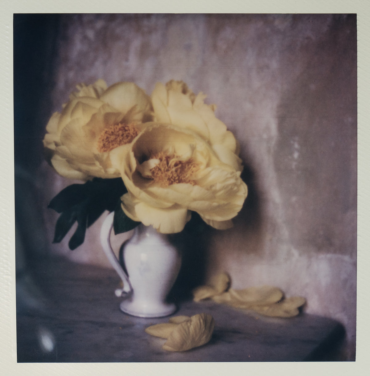 Polaroid Studio Artifact 27