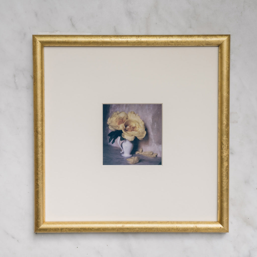 Polaroid Studio Artifact 27