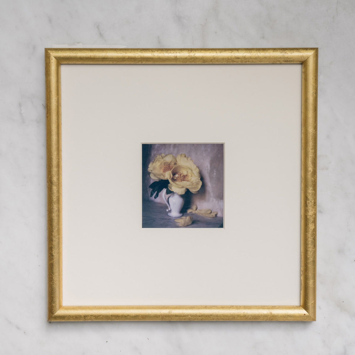 Polaroid Studio Artifact 27