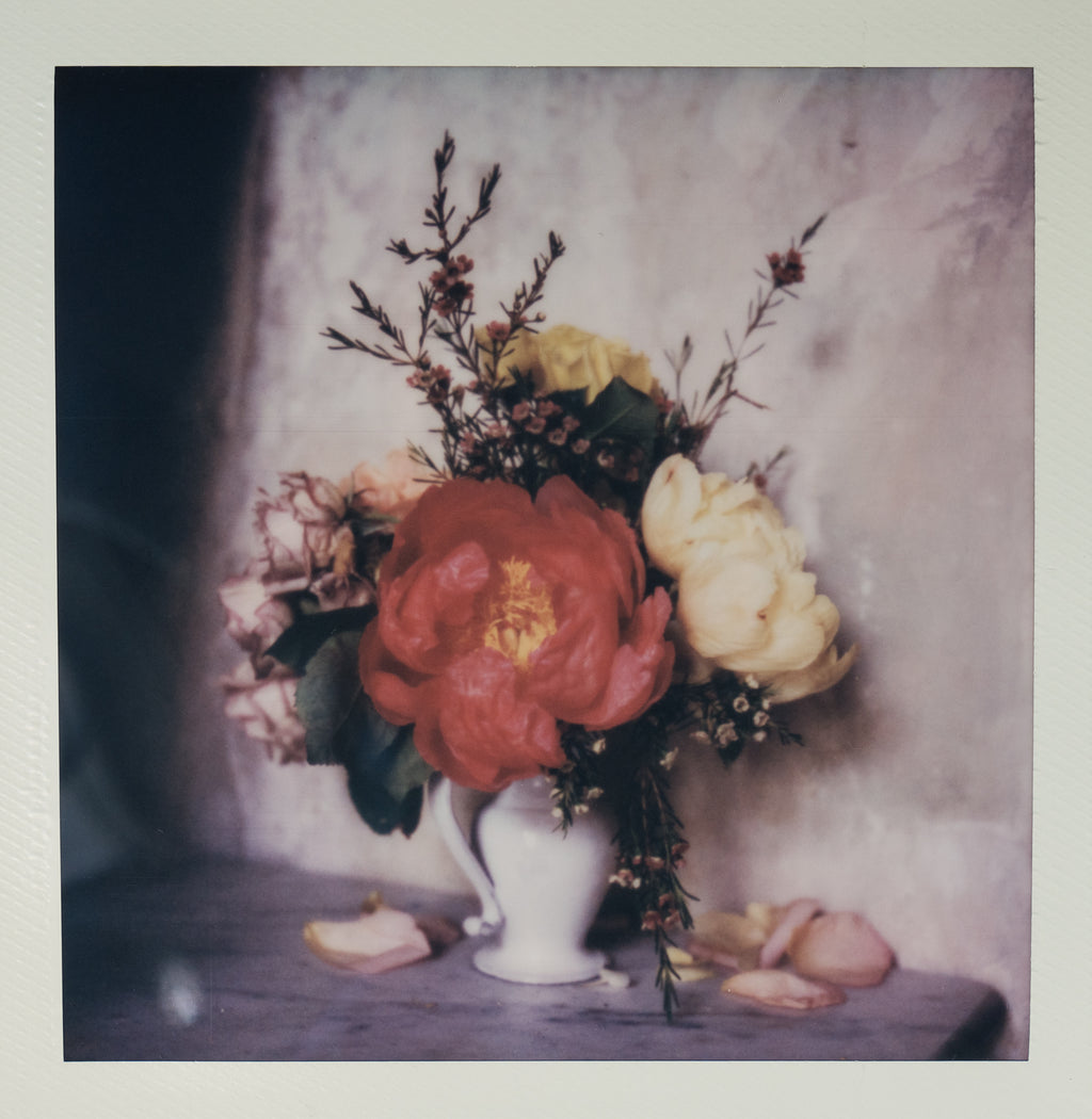 Polaroid Studio Artifact 28