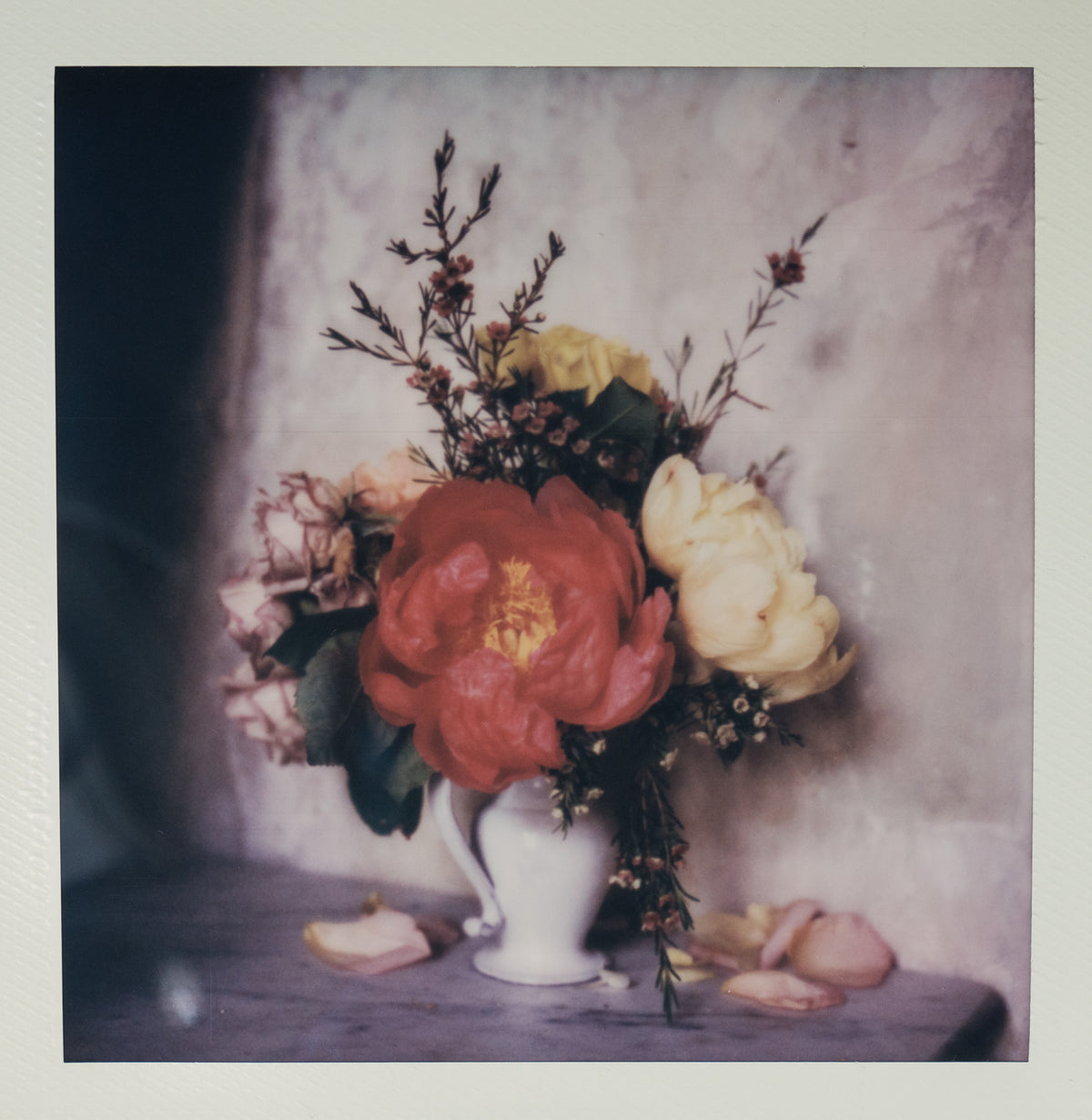 Polaroid Studio Artifact 28
